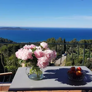 Simone Carqueiranne